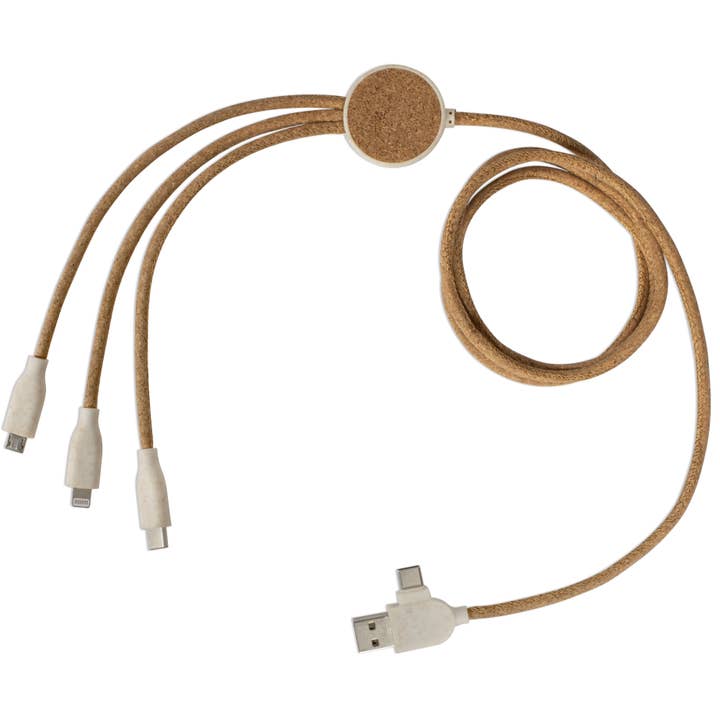 Câble de charge multi-embout