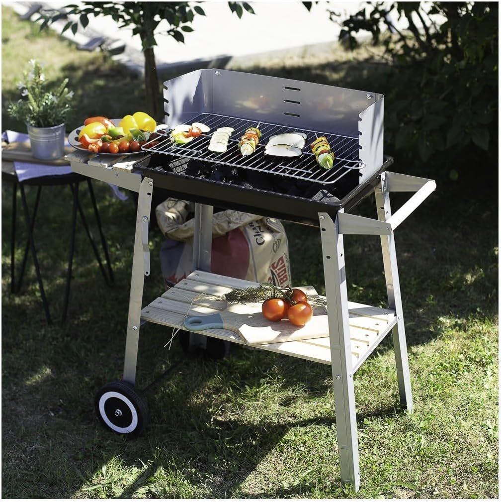 Barbecue à charbon