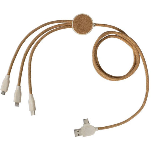Câble de charge multi-embout