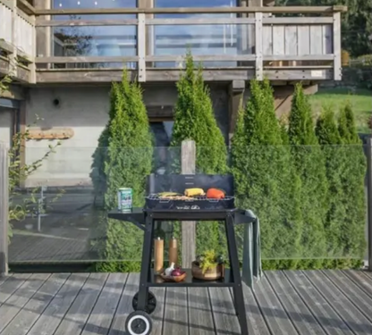 BARBECUE A CHARBON